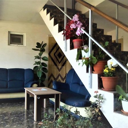 Vila Nico Костинещи Екстериор снимка