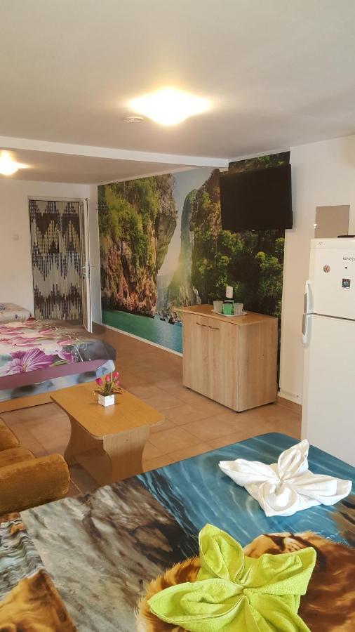 Vila Nico Костинещи Екстериор снимка