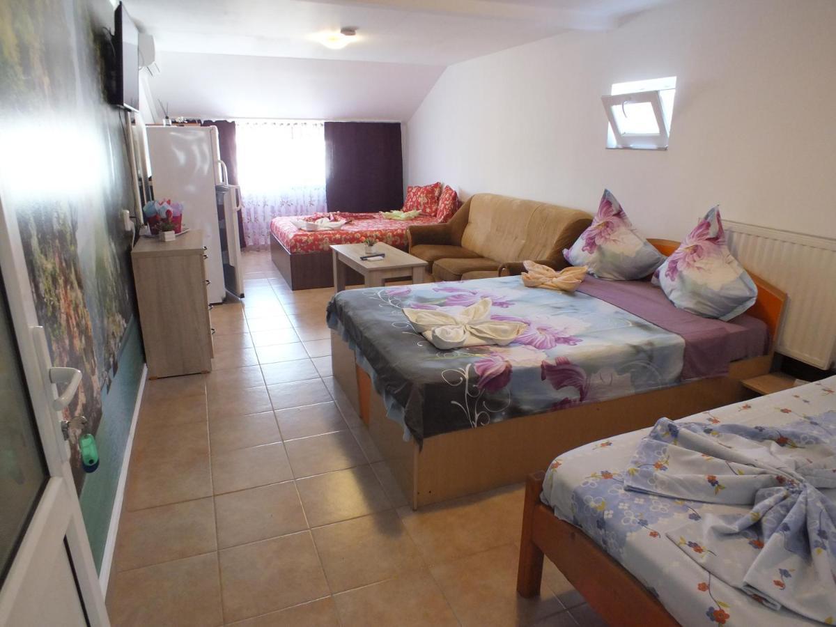 Vila Nico Костинещи Екстериор снимка