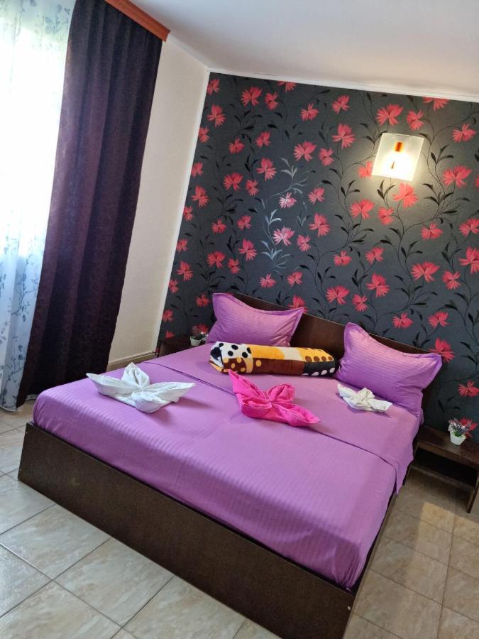 Vila Nico Костинещи Екстериор снимка