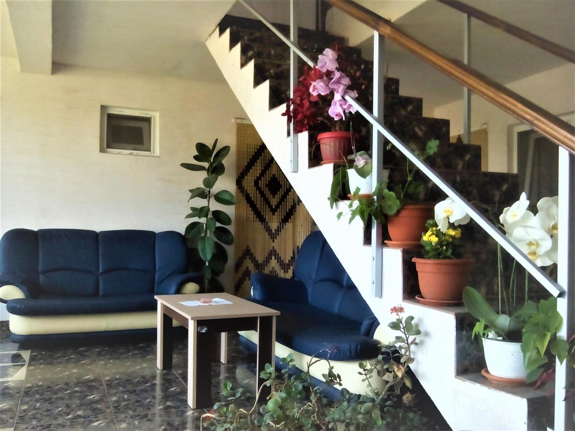 Vila Nico Костинещи Екстериор снимка