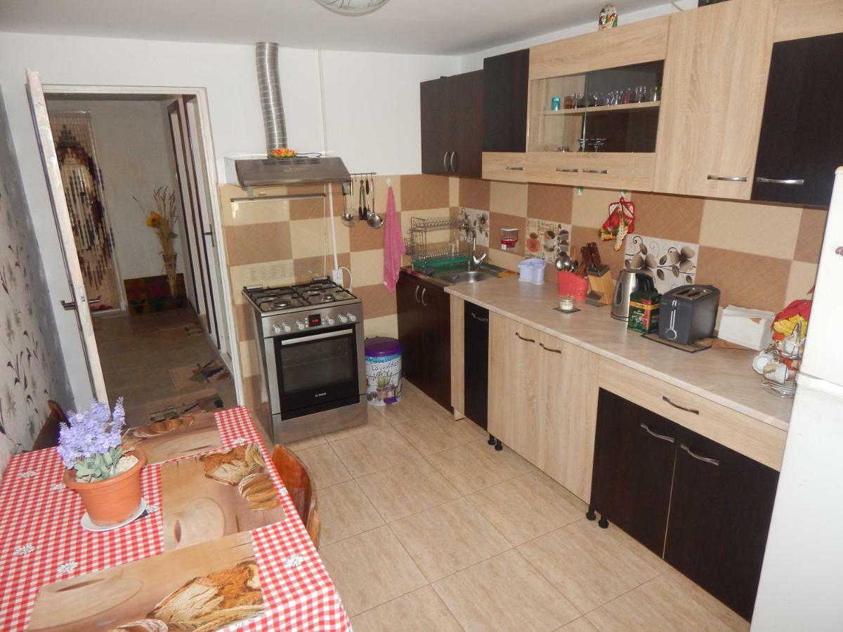 Vila Nico Костинещи Екстериор снимка
